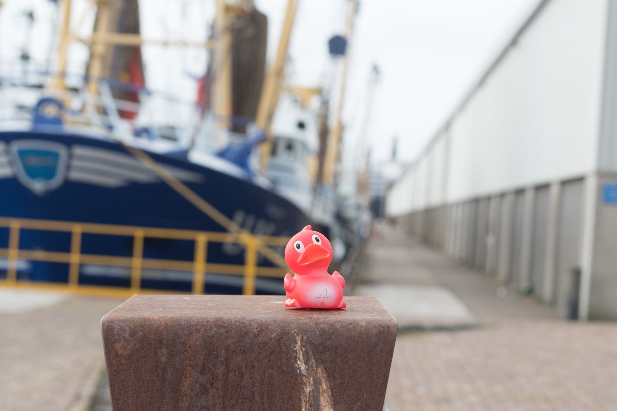 20230304   Fotoshoot IJmuiden   010